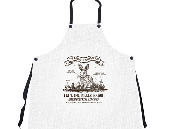 The Rabbit Of Caerbannog