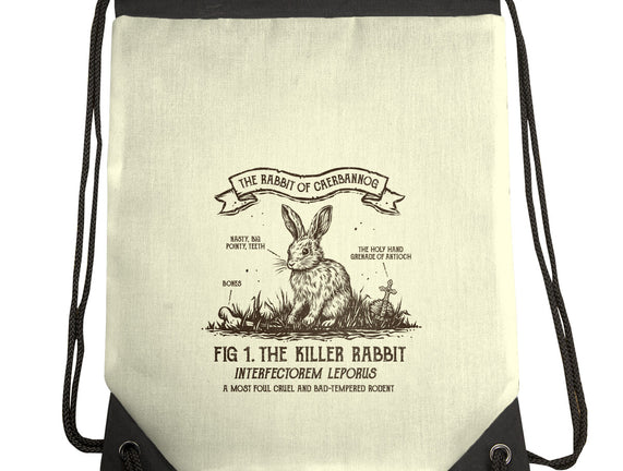 The Rabbit Of Caerbannog