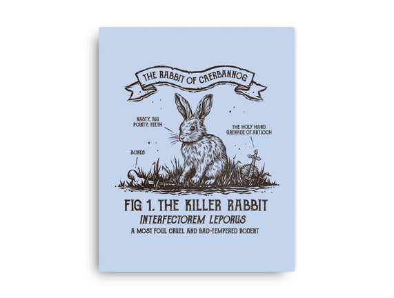 The Rabbit Of Caerbannog