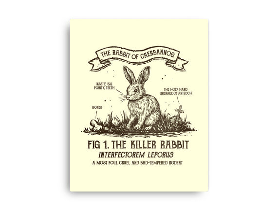 The Rabbit Of Caerbannog