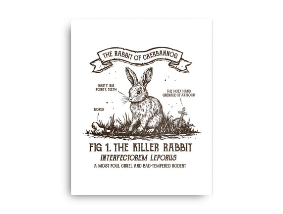 The Rabbit Of Caerbannog