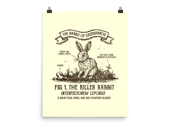 The Rabbit Of Caerbannog
