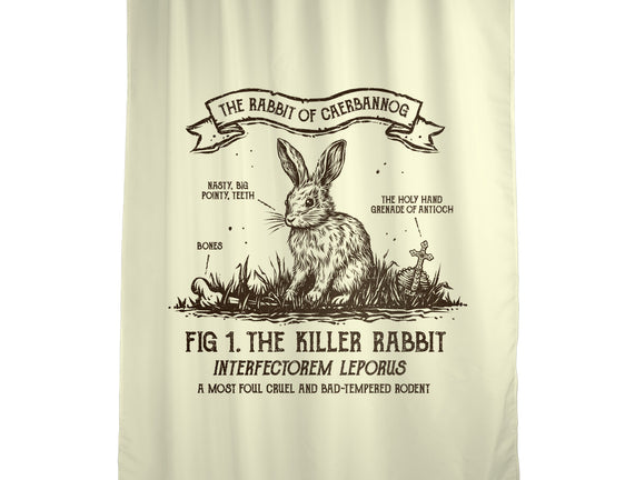 The Rabbit Of Caerbannog