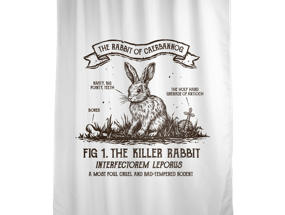 The Rabbit Of Caerbannog