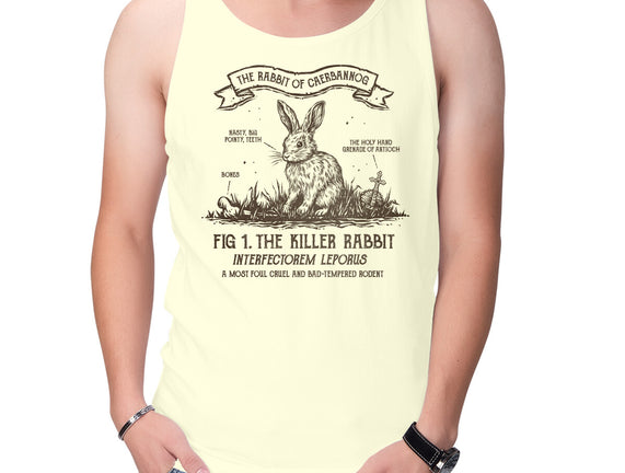 The Rabbit Of Caerbannog