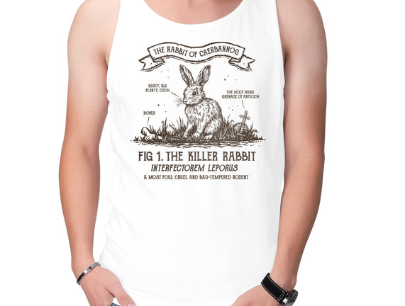 The Rabbit Of Caerbannog