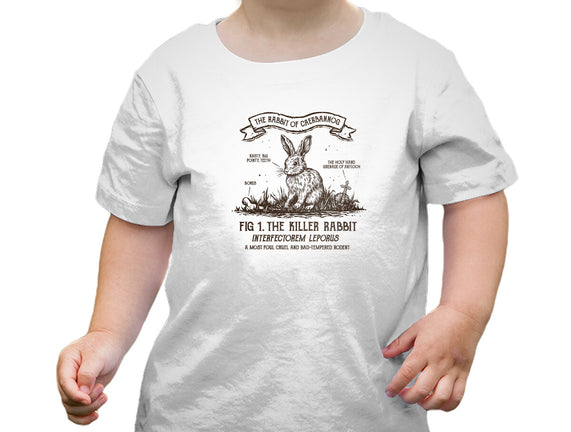 The Rabbit Of Caerbannog