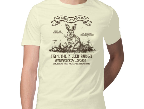 The Rabbit Of Caerbannog