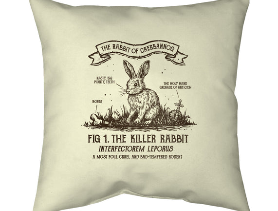 The Rabbit Of Caerbannog