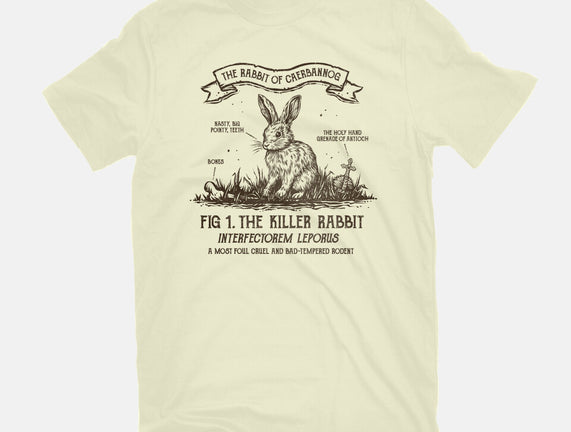The Rabbit Of Caerbannog