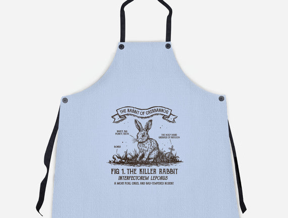The Rabbit Of Caerbannog