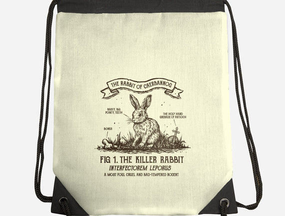 The Rabbit Of Caerbannog