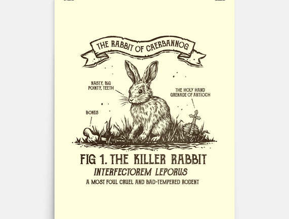 The Rabbit Of Caerbannog