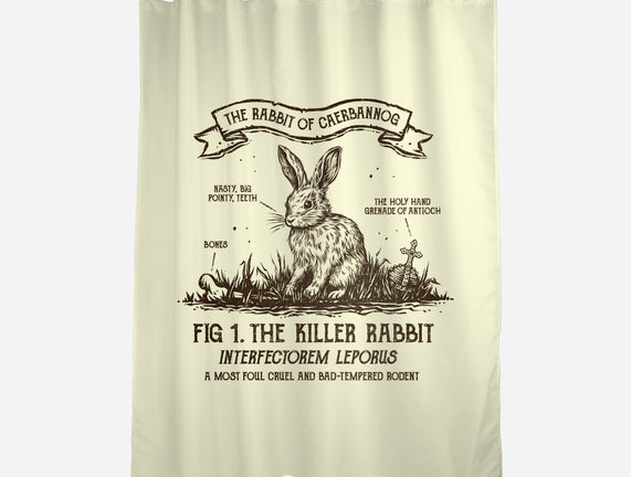 The Rabbit Of Caerbannog