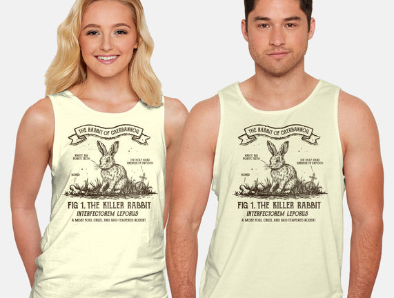 The Rabbit Of Caerbannog