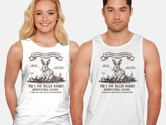 The Rabbit Of Caerbannog