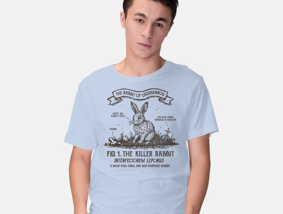The Rabbit Of Caerbannog