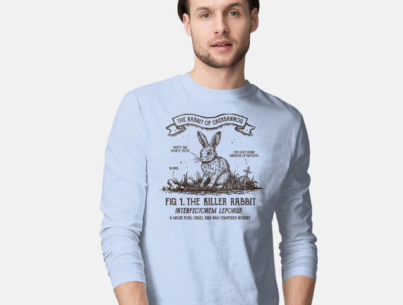 The Rabbit Of Caerbannog