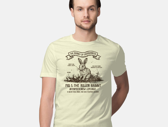 The Rabbit Of Caerbannog