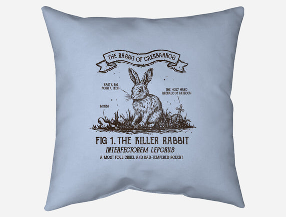 The Rabbit Of Caerbannog