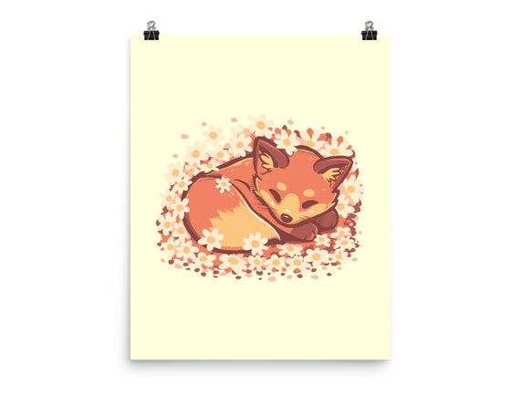 Daisy Spring Fox