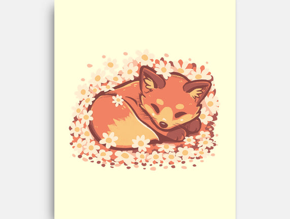 Daisy Spring Fox