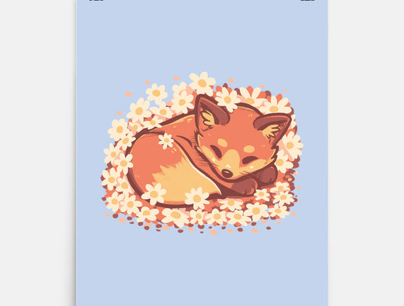 Daisy Spring Fox