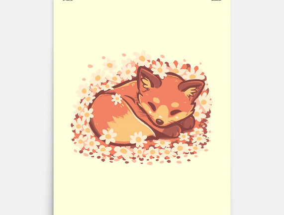 Daisy Spring Fox
