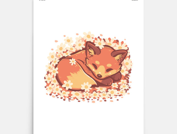 Daisy Spring Fox