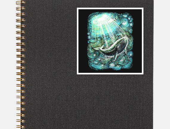 Starry Whale
