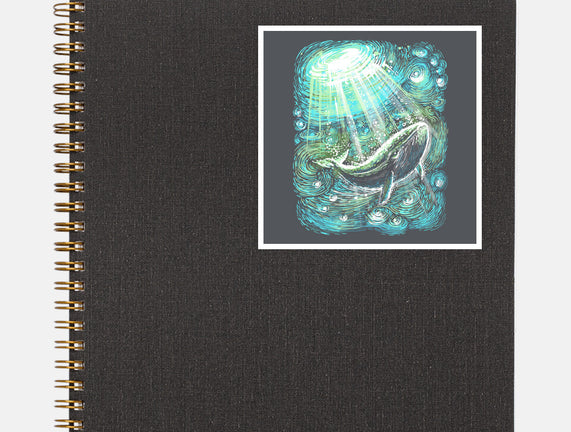 Starry Whale