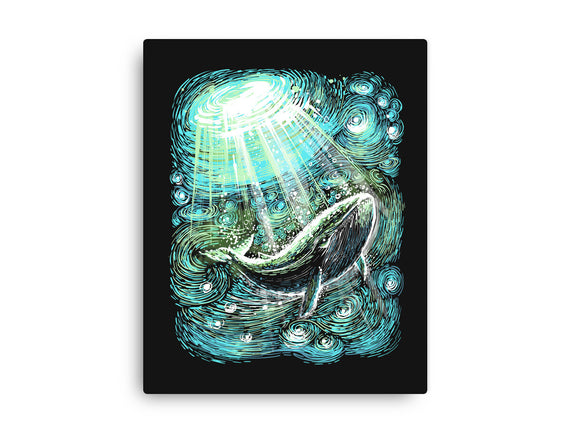 Starry Whale