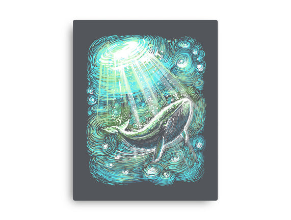 Starry Whale