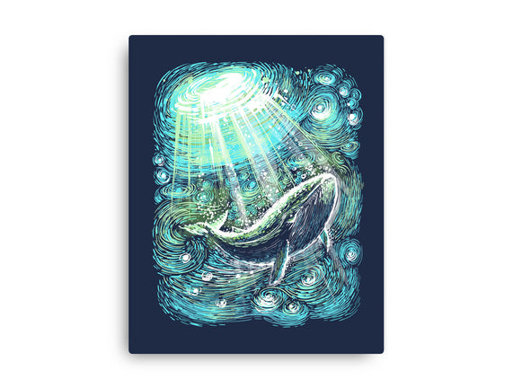 Starry Whale