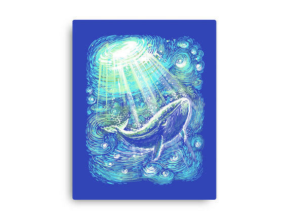 Starry Whale