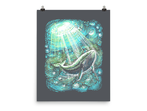 Starry Whale