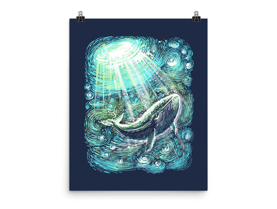 Starry Whale