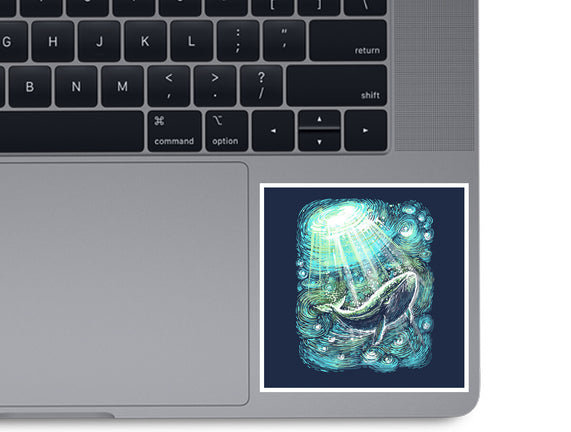Starry Whale