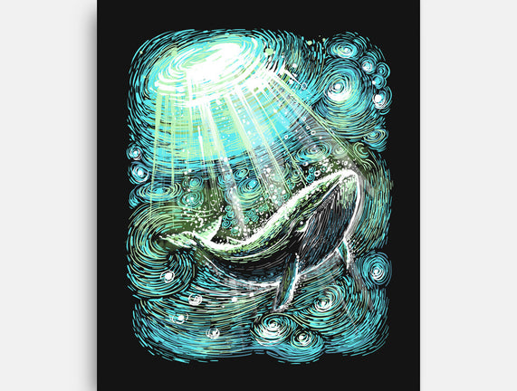 Starry Whale