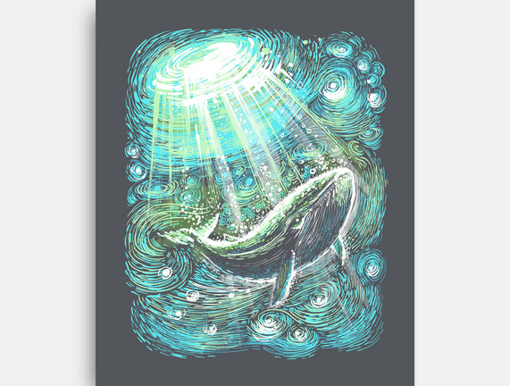Starry Whale