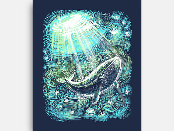 Starry Whale