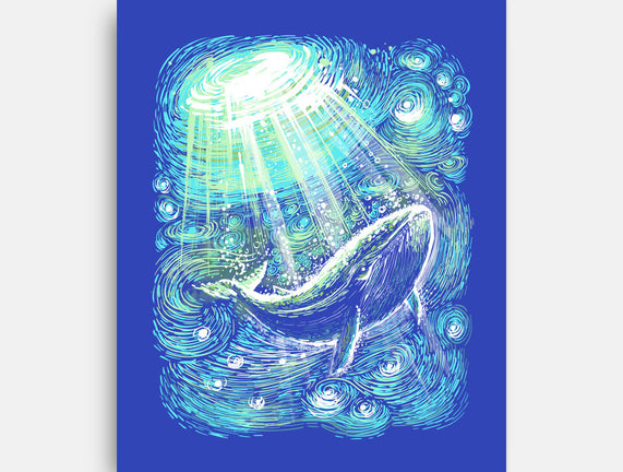 Starry Whale