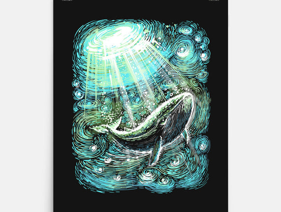 Starry Whale