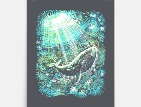Starry Whale