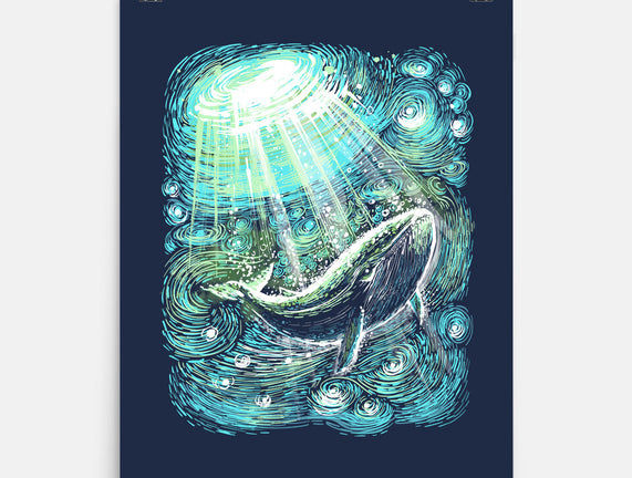 Starry Whale
