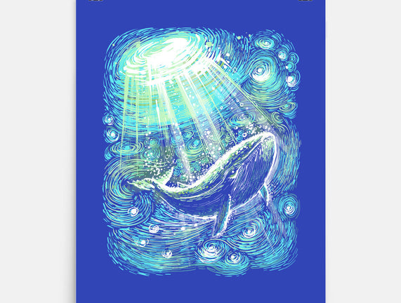 Starry Whale