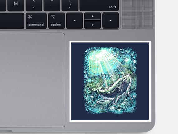 Starry Whale
