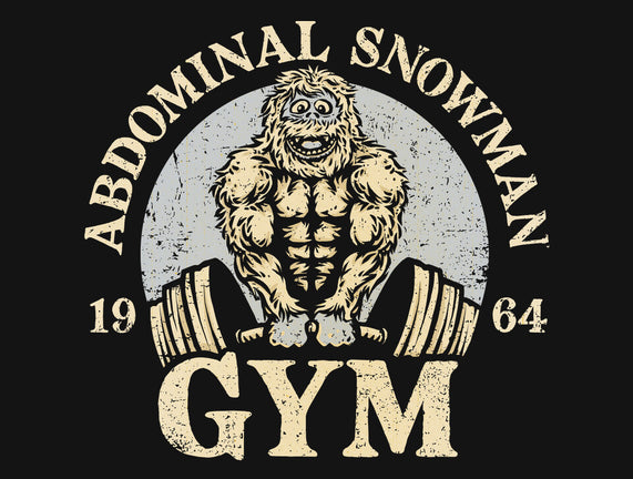 Abdominal Snowman Gym