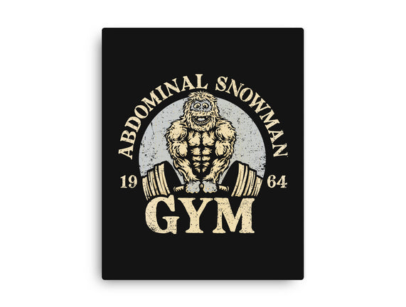 Abdominal Snowman Gym