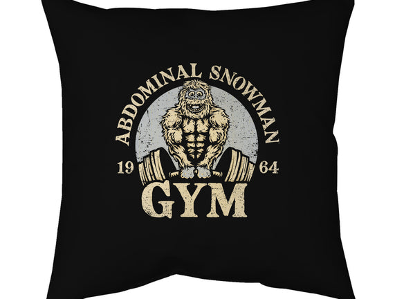 Abdominal Snowman Gym
